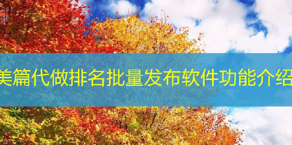 美篇文章发布软件开发项目是什么
